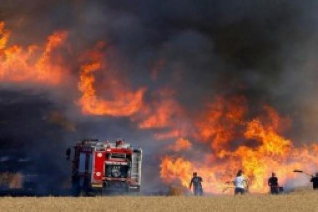 حرائق غابات سيبيريا مفتعلة  