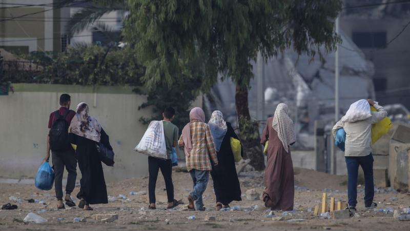 روسيا: العنف مستمر في قطاع غزة وعدد الشهداء بغزة تجاوز 30 ألفًا