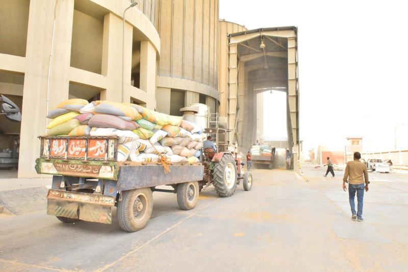 محافظ أسيوط : إرتفاع توريد القمح الى 194 ألف طن للشون والصوامع ومراكز التجميع