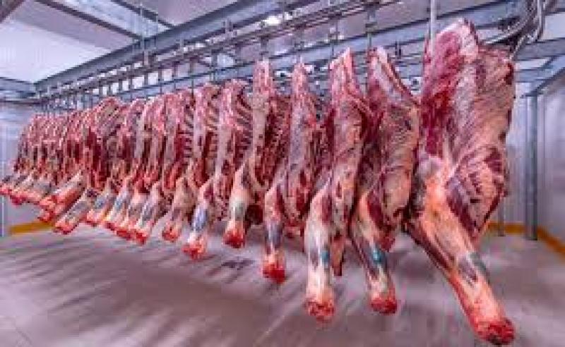 أسعار اللحوم الحمراء اليوم الاثنين
