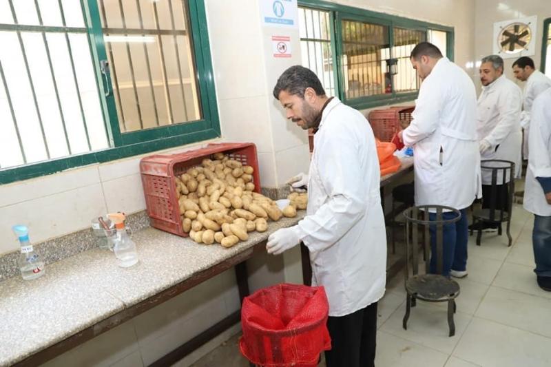 الزراعة تستعرض تقريرا حول انجازات مشروع حصر ومكافحة العفن البني في البطاطس من نوفمبر الماضي وحتى الآن