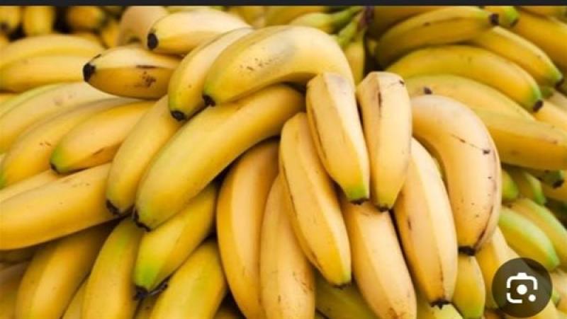 تحسين الهضم.. فوائد تناول الموز على الصحة