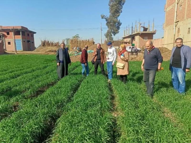 البحوث الزراعية يستعرض حصاد أنشطة مبادرة المراكز الإرشادية الزراعية خلال شهر ديسمبر 2024.