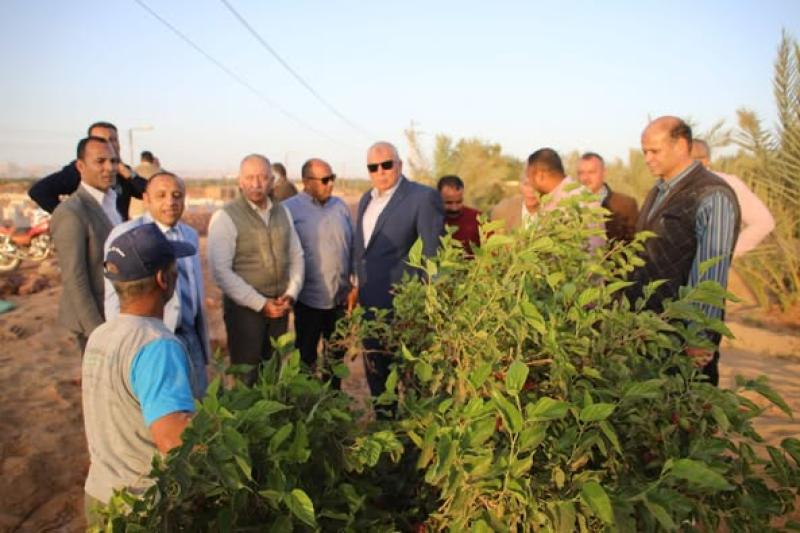 الزملوط يتفقّد مشروع ”وقف النخيل الخيري” بموط