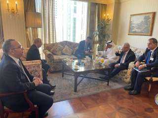 وزير الزراعة يبحث تعزيز الاستثمارات الزراعية مع الأمين العام لمجلس الأعمال الكويتي المصري