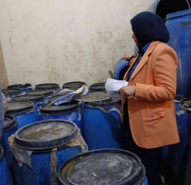 محافظ الدقهلية: ضبط أكثر من 5 طن أسماك وملح ومخللات وذرة في حملة تموينية