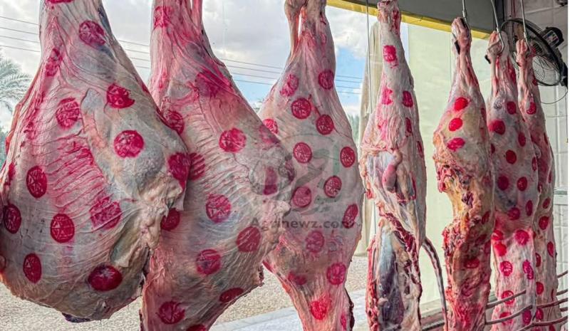الغربية تطمئن مواطنيها.. لحوم نظيفة بأسعار متزنة ومنافذ للجميع