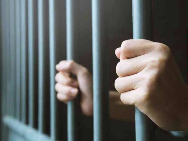 تعديل قانون العقوبات بخصوص التعدي على أرض زراعية.. والعقوبة قد تصل لمؤبد
