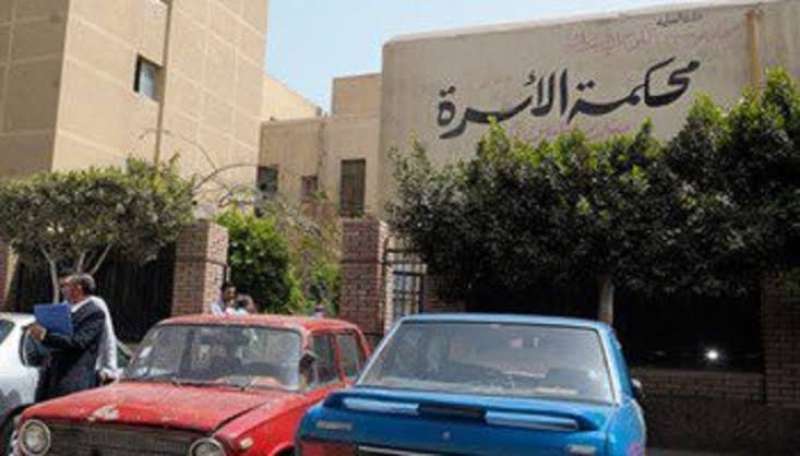 القضية الأغرب من نوعها في محاكم الأسرة... زوجة تطلب الطلاق بسبب قطة