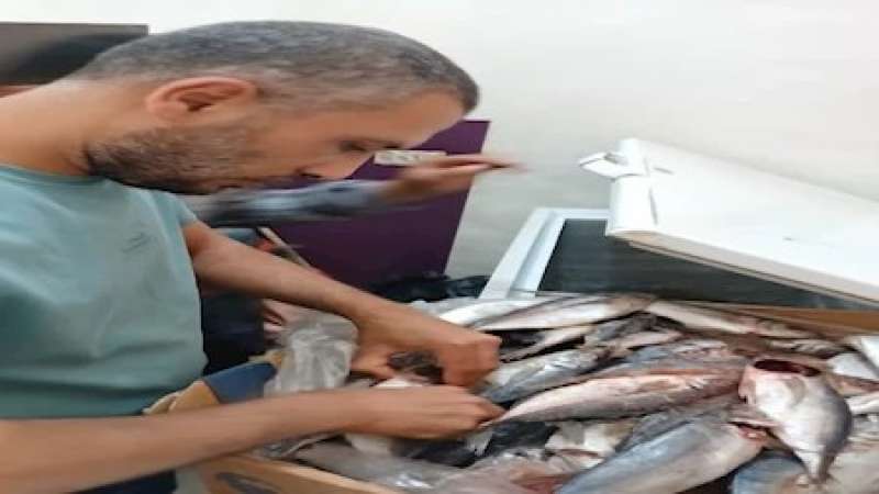 بالتعاون مع الجهات المعنية .. ضبط 14 طن من اللحوم والدواجن غير الصالحة للاستهلاك الآدمي في حملات بالمنوفية