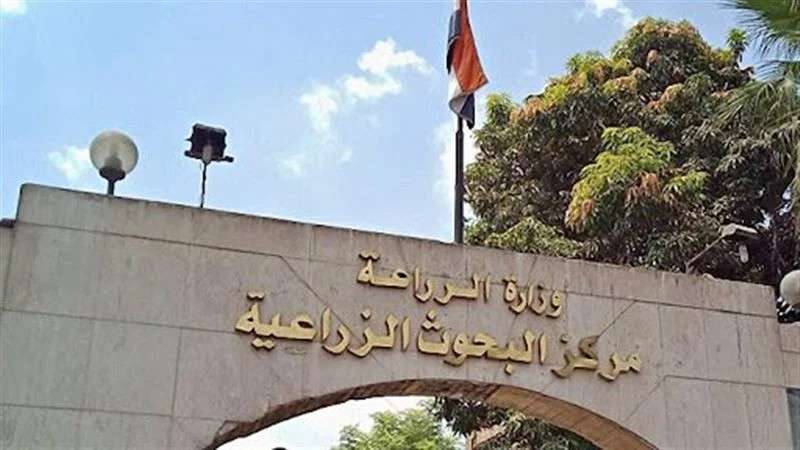 أنشطة إرشادية مكثفة من مركز البحوث الزراعية في القليوبية لدعم المزارعين