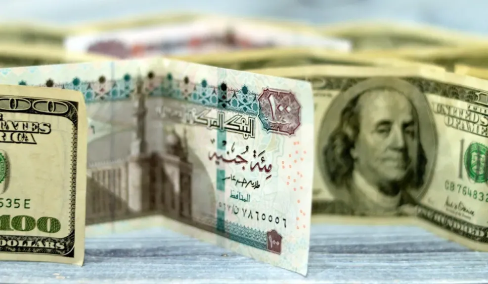 الدولار الأمريكي