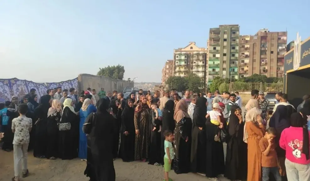 انتخابات مجلس الشيوخ