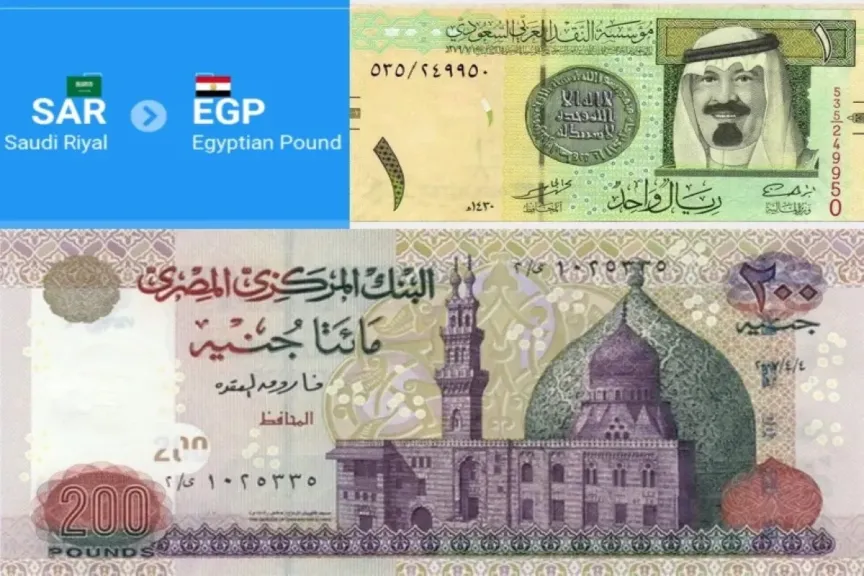 سعر الريال في مصر اليوم 