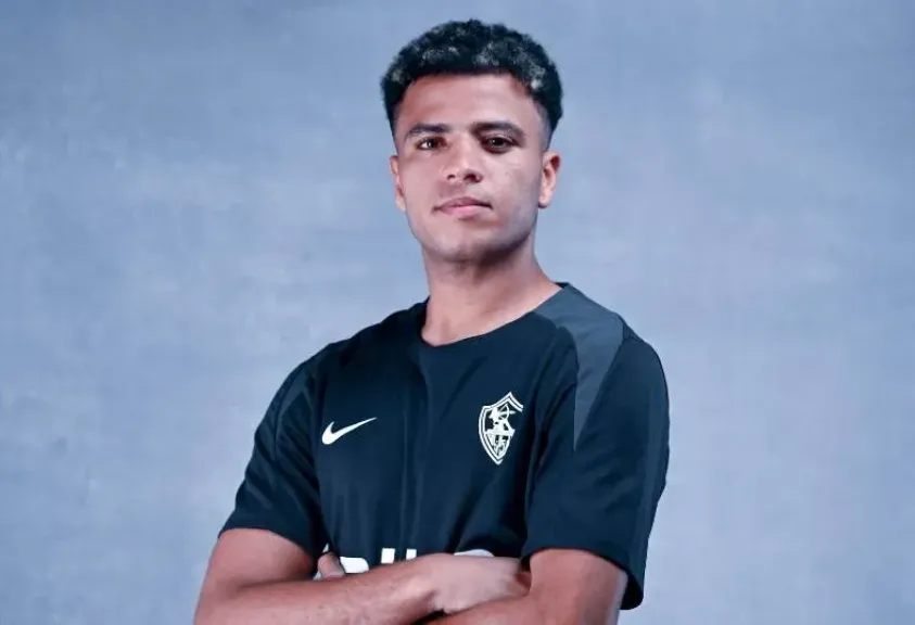 أحمد ربيع