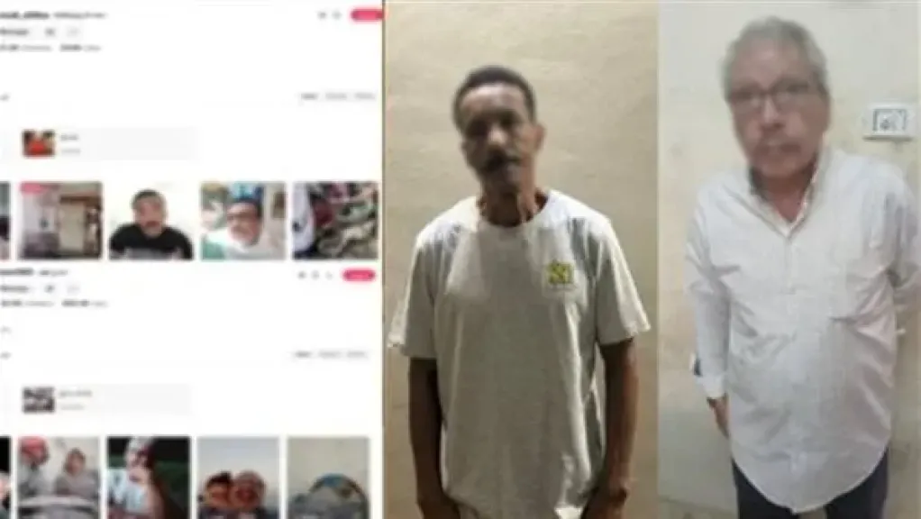 الفنان محمد فاروق شيبا 