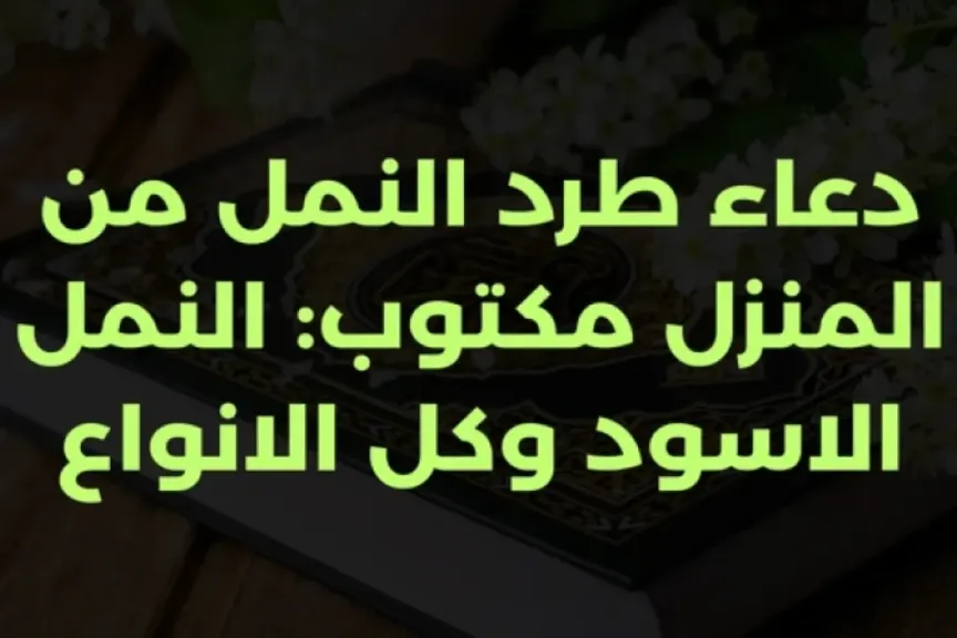 دعاء طرد النمل من المنزل 