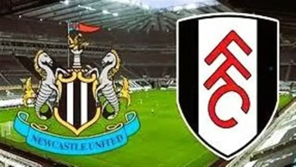 نيوكاسل ضد فولهام 