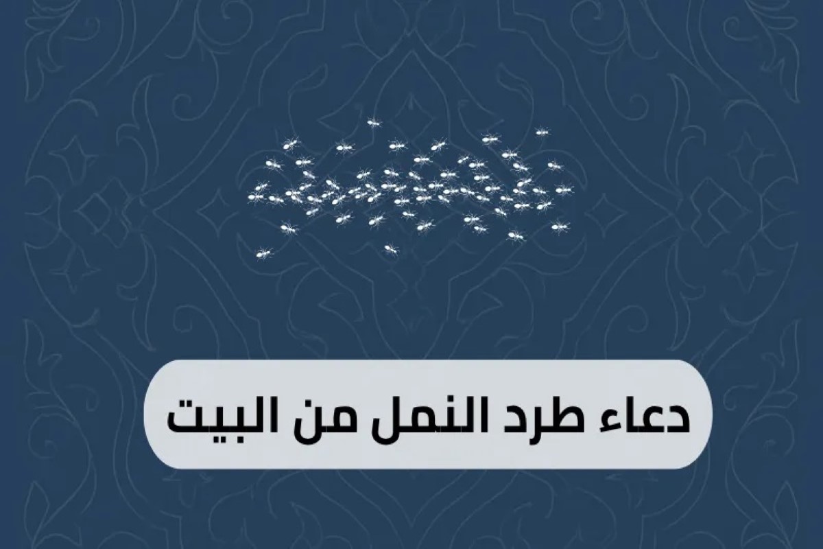 دعاء النملة العجيب